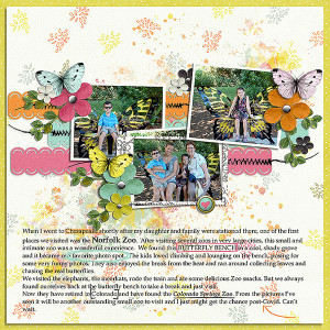 the butterfly bench