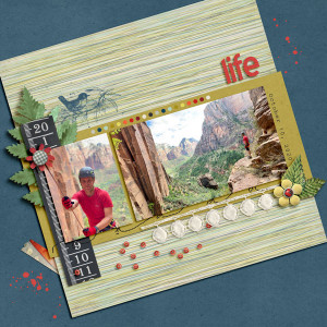 MOC 9: #25 Life