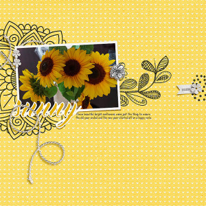 16: Sunny
