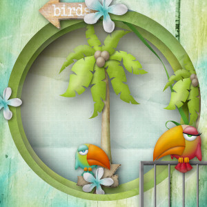 Birds