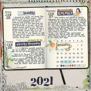 MOC9Day12- Jan 25-27, 2021