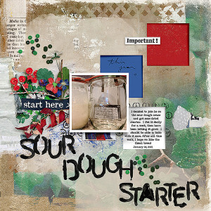 MOC9 Day20- Sour Dough Starter