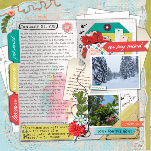 MOC 9 Jan 31 - Scrape From The Heart