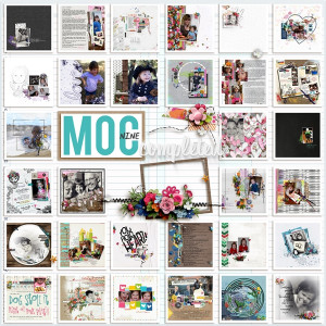 MOC9_ Collage
