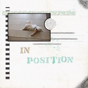Position