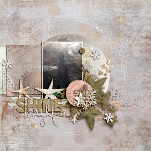 Shine Bright - February 2021 Random Challenge
