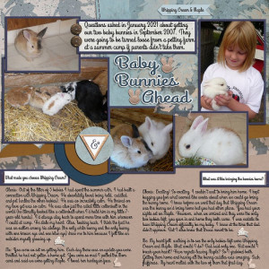 MOC9 Day 23 Interview of Baby Bunnies Ahead