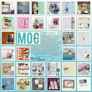 MOC9_Collage