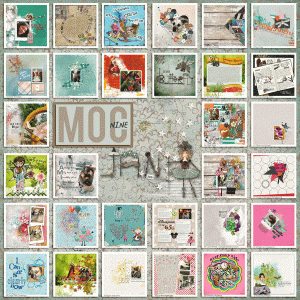 Collage-of-31