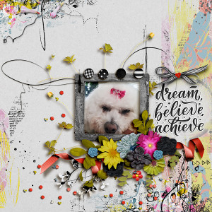 Dream Believe Achieve