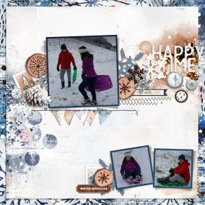Sledging