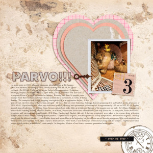 2021.02.03-Parvo