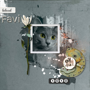 210106_cat Eyes