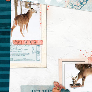 Scrapping-with-Liz_2021-02_February-MIS_web