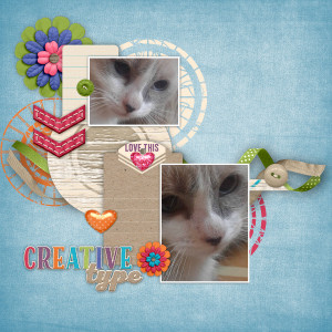 Mittens