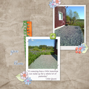 Creating A Garden In Our Backyard