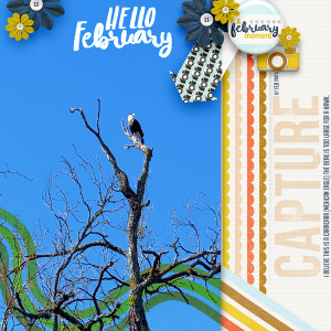 HelloFebruary
