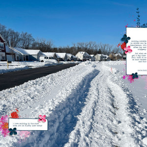 Walk In The Snow
