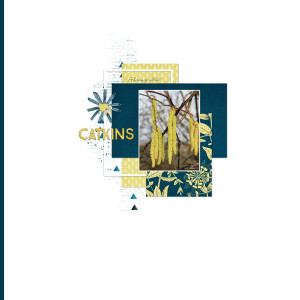 Catkins