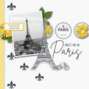 Meet Me In Paris