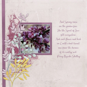 And Spring Arose