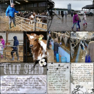 Dairy Farm - 2 Pager