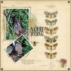 Nature Journal Bunnies