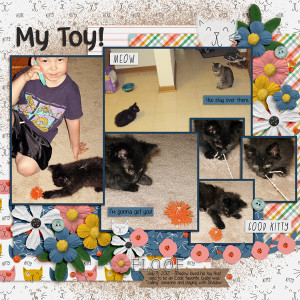 20120709 kitten!