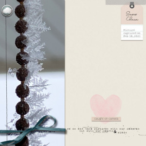 Snow Chain