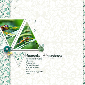 Moments-of-happiness