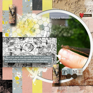 Scrapping With Liz Template Challenge Rescue Mission