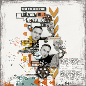 This Wild Wonderful Life
