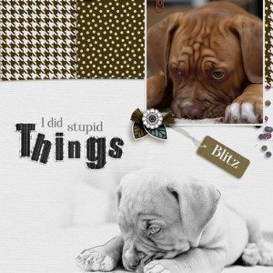 I did stupid things