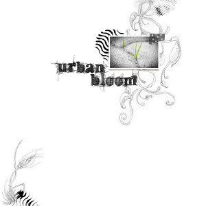 LOC_2-21_CD_Urban Bloom