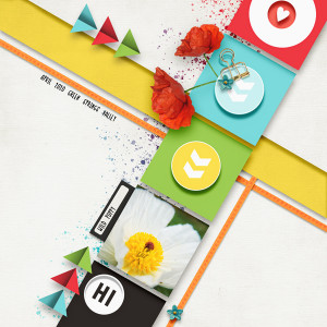 WildPoppy