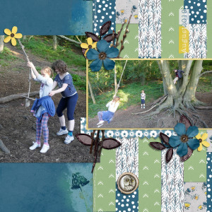 Rope Swing