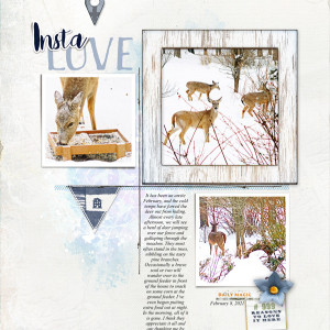 Lynn-Grieveson_2021-02-February_SOSN_0224_InstaLove_WornEdges3_ThisLife_web
