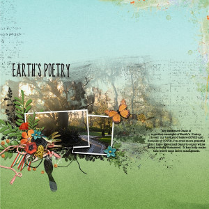My Backyard_Earth's Poetry
