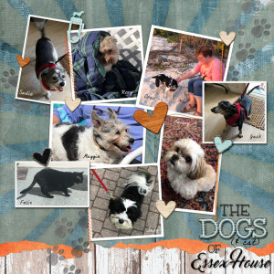 Dogs-of-Essex-House