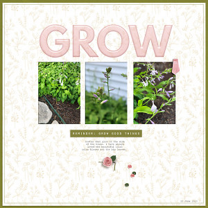 Grow