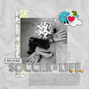 Soccer = Life