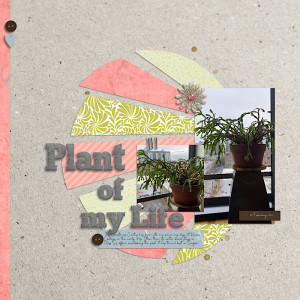 Plant of my Life