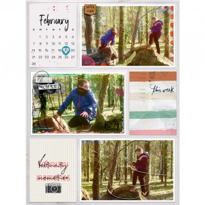 February memories