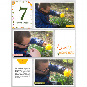 Week 7 Love blooms here