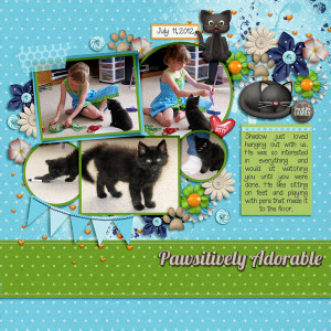 20120711 Kitten!