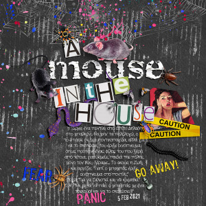 A mouse in the house