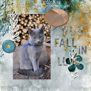 210224_love Cat
