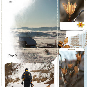 Ciurila
