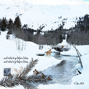 210117_ski River