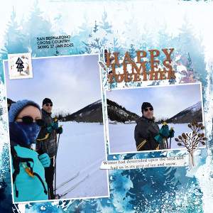 210117_ski SB